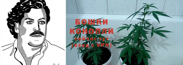 эйфоретик Белоозёрский