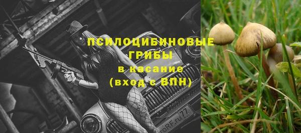 эйфоретик Белоозёрский